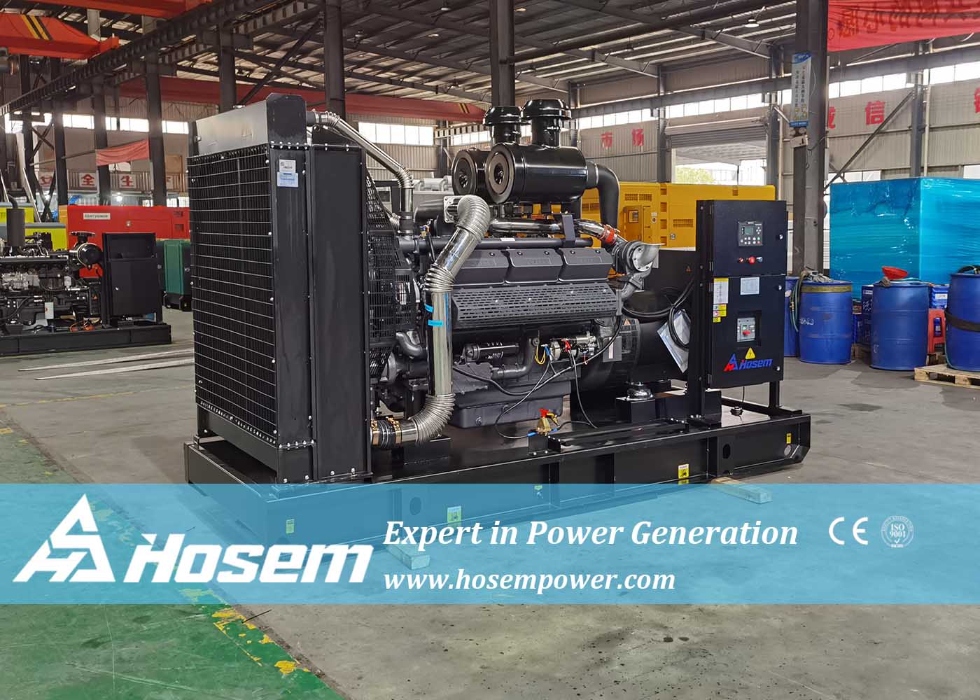 emergency generator set