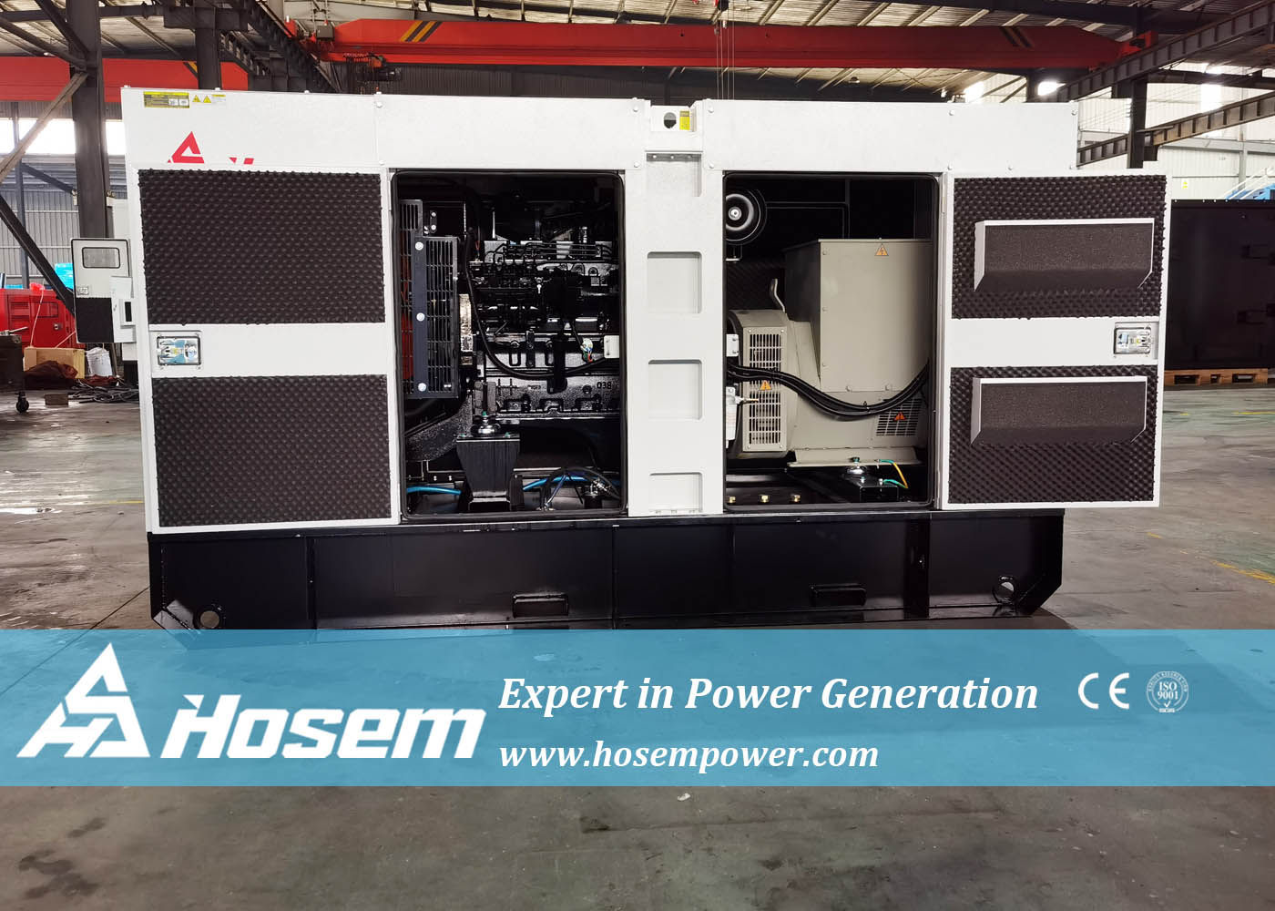 Commissioning diesel generator before use