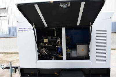 Engine Driven Welders